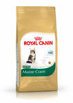 Royal Canin Kitten Maine Coon 36 400g w sklepie internetowym keko.pl