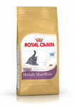 Royal Canin Kitten British Shorthair 400g w sklepie internetowym keko.pl