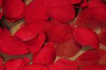 Płatki róż w woreczku czerwone 100 szt. w sklepie internetowym Dorado