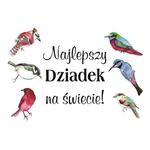 Magnes na lodówkę, Najlepszy dziadek na świecie w sklepie internetowym Księgarnia Dobrego Pasterza