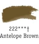 Tusz akrylowy FW Daler-Rowney 29,5 ml 222 antelope brown w sklepie internetowym Sklep Plastyczny