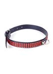 Fetish B - Series Collar with crystals 2 cm Red Line w sklepie internetowym Sekrecik