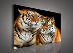 Obraz na płótnie PP131O1 Tygrysy w sklepie internetowym KrainaBarw.pl