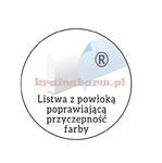 Listwa przypodłogowa LPC-12 244 x 1,9 x 1,9cm w sklepie internetowym KrainaBarw.pl