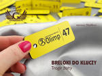 Breloczki do kluczy - TROGIR żółty - 70x30mm w sklepie internetowym Grawernia.pl