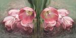 Obraz do salonu tulipany, 100 x 50, glamour w sklepie internetowym Artillo