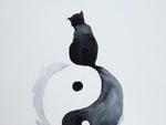 "KOCI OGON" akwarela, symbol YIN i YANG w sklepie internetowym Artillo