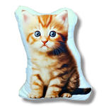 Poduszka kotek z kotkiem ozdobna poduszka w sklepie internetowym Artillo