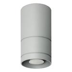 Lampa sufitowa Diego 20 popiel w sklepie internetowym luke.sklep.pl