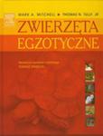 Zwierzęta Egzotyczne w sklepie internetowym Gigant.pl