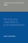 Ethnicity And Nationalism In Post - Imperial Britain w sklepie internetowym Gigant.pl