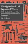 Pontypool And Usk Japanned Wares - With The Early History Of The Iron And Tinplate Industries At Pontypool w sklepie internetowym Gigant.pl