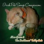 Irish Pub Songs Companion (Cdr) w sklepie internetowym Gigant.pl