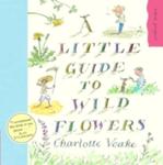 A Little Guide To Wild Flowers w sklepie internetowym Gigant.pl