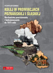 Kolej W Prowincjach Poznańskiej I Śląskiej. Mechanizmy Powstawania I Funkcjonowania Do 1914 Roku w sklepie internetowym Gigant.pl