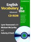 English Vocabulary In Use: Advanced: : Cd - Rom For Windows And Mac w sklepie internetowym Gigant.pl