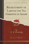 Recruitment Of Labour For Tea Gardens In Assam (Classic Reprint) w sklepie internetowym Gigant.pl