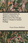 Animal Communities In Temperate America, As Illustrated In The Chicago Region; A Study In Animal Ecology w sklepie internetowym Gigant.pl