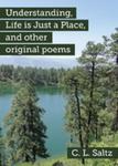 Understanding, Life Is Just A Place, And Other Original Poems w sklepie internetowym Gigant.pl