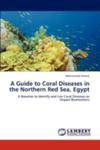 A Guide To Coral Diseases In The Northern Red Sea, Egypt w sklepie internetowym Gigant.pl