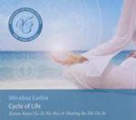 Meditations For Transformation: Cycle Of Life w sklepie internetowym Gigant.pl