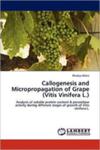 Callogenesis And Micropropagation Of Grape (Vitis Vinifera L. ) w sklepie internetowym Gigant.pl