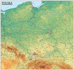 Polska. Mapa Ogólnogeograficzna Mapa Ścienna Oprawiona W Listwy w sklepie internetowym Gigant.pl