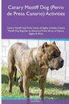 Canary Mastiff Dog (Perro De Presa Canario) Activities Canary Mastiff Dog Tricks, Games & Agility. Includes w sklepie internetowym Gigant.pl