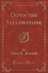 Down The Yellowstone (Classic Reprint) w sklepie internetowym Gigant.pl