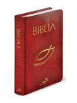 Biblia St I Nt (Oprawa Balacron) - Bordo w sklepie internetowym Gigant.pl