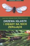 Drzewa Iglaste I Owady Na Nich Żerujące w sklepie internetowym Gigant.pl