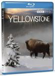 Yellowstone w sklepie internetowym Gigant.pl