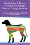 French White & Orange Hound (Chien Français Blanc Et Orange) Activities French White & Orange Hound Tricks, Games & Agility Includes w sklepie internetowym Gigant.pl