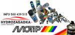 M955250 DUP 955250 LAKIERY DUPLI LAKIER SZTYFT SREBRNY METALIK 12ML MOTIP MOTIP LAKIERY MOTIP [952865] w sklepie internetowym kayaba.istore.pl