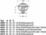 4256.80D WHR 4256.80D TERMOSTAT AUDI WAHLER TERMOSTATY (GJ) (PT) WAHLER [1893245] w sklepie internetowym kayaba.istore.pl