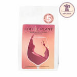 Kawa Speciality Ziarnista Brazylia Zinfandel Natural Espresso 250 g - COFFEE PLANT w sklepie internetowym Kawa i Dodatki