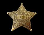 ZŁOTA ODZNAKA SHERIFF LINCOLN (104) w sklepie internetowym Globalreplicas