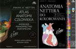 Atlas anatomii człowieka. Angielskie mianownictwo anatomiczne + Anatomia Nettera do kolorowania w sklepie internetowym LiberMed.pl