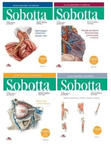 Atlas anatomii człowieka Sobotta. Łacińskie mianownictwo. Tomy 1-3 + Tablice anatomiczne Sobotta. Łacińskie mianownictwo w sklepie internetowym LiberMed.pl