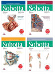 Atlas anatomii człowieka Sobotta. Angielskie mianownictwo. Tomy 1-3 + Tablice anatomiczne Sobotta. Angielskie mianownictwo w sklepie internetowym LiberMed.pl