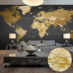 Fototapeta XXL - Mapa świata: Nowoczesna geografia II w sklepie internetowym Radimar