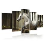 Obraz - Koń w ciągłym biegu OBRAZ NA PŁÓTNIE WŁOSKIM w sklepie internetowym Radimar