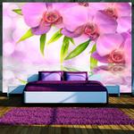 Fototapeta - Orchidee w kolorze lila w sklepie internetowym Radimar