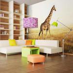 Fototapeta - żyrafa - spacer w sklepie internetowym Radimar