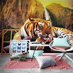 Fototapeta - Piękno i bestia Tygrys w sklepie internetowym Radimar