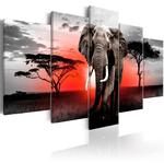 Obraz - Samotny słoń OBRAZ NA PŁÓTNIE WŁOSKIM w sklepie internetowym Radimar