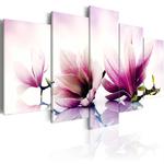Obraz - Różowe kwiaty: magnolie OBRAZ NA PŁÓTNIE WŁOSKIM w sklepie internetowym Radimar
