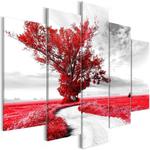 Obraz - Drzewo przy drodze (5-częsciowy) czerwony OBRAZ NA PŁÓTNIE WŁOSKIM w sklepie internetowym Radimar