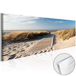 Obraz na szkle akrylowym - Dzika plaża [Glass] w sklepie internetowym Radimar