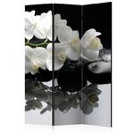 Parawan 3-częściowy - SPA, kamienie i orchidea [Room Dividers] w sklepie internetowym Radimar